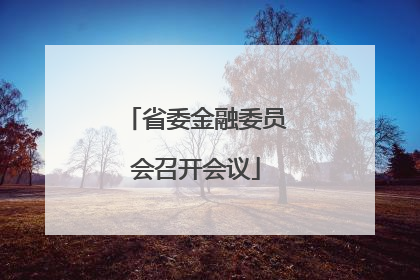 省委金融委员会召开会议
