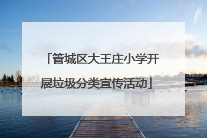 管城区大王庄小学开展垃圾分类宣传活动
