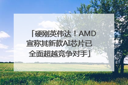 硬刚英伟达！AMD宣称其新款AI芯片已全面超越竞争对手