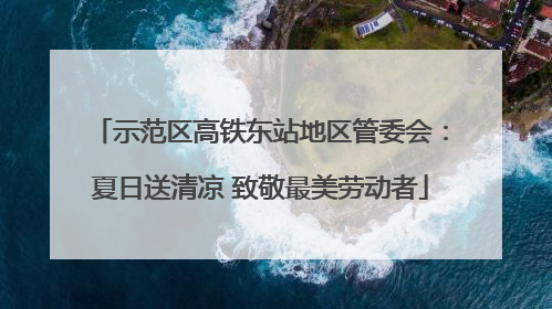 示范区高铁东站地区管委会：夏日送清凉 致敬最美劳动者