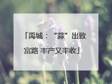 禹城：“蒜”出致富路 丰产又丰收