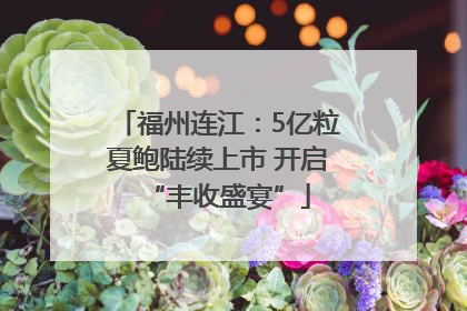 福州连江：5亿粒夏鲍陆续上市 开启“丰收盛宴”