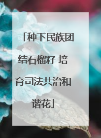 种下民族团结石榴籽 培育司法共治和谐花