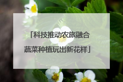科技推动农旅融合 蔬菜种植玩出新花样