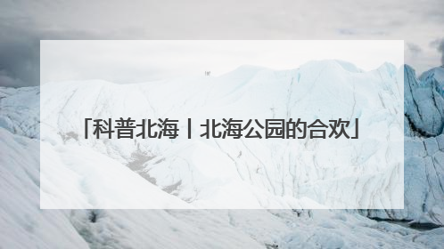 科普北海丨北海公园的合欢