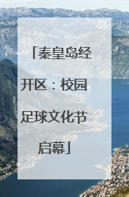 秦皇岛经开区：校园足球文化节启幕