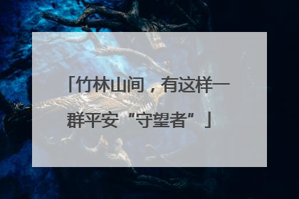 竹林山间，有这样一群平安“守望者”