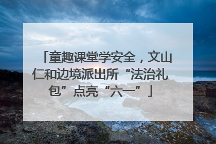 童趣课堂学安全，文山仁和边境派出所“法治礼包”点亮“六一”