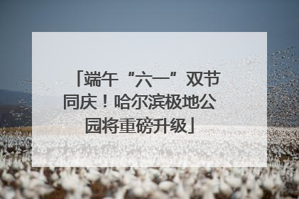 端午“六一”双节同庆！哈尔滨极地公园将重磅升级