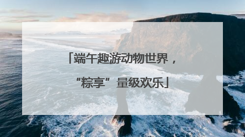 端午趣游动物世界，“粽享”量级欢乐