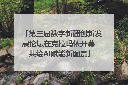 第三届数字新疆创新发展论坛在克拉玛依开幕 共绘AI赋能新图景