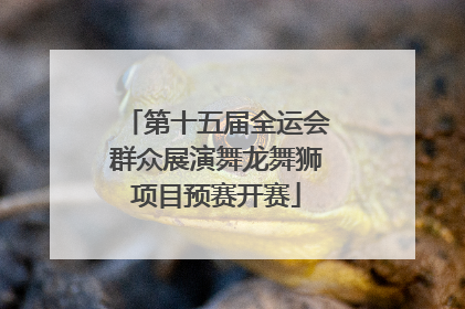 第十五届全运会群众展演舞龙舞狮项目预赛开赛