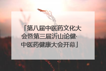 第八届中医药文化大会暨第三届沂山论健·中医药健康大会开幕
