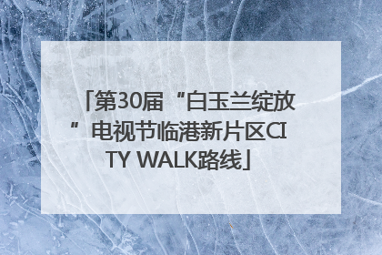 第30届“白玉兰绽放”电视节临港新片区CITY WALK路线