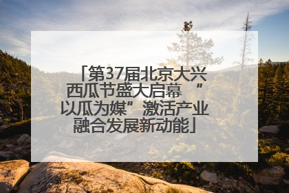 第37届北京大兴西瓜节盛大启幕 “以瓜为媒”激活产业融合发展新动能