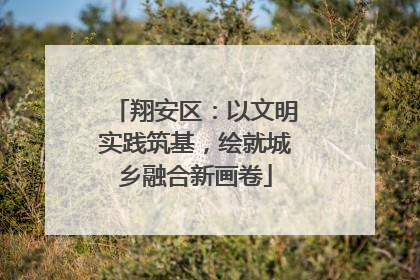 翔安区：以文明实践筑基，绘就城乡融合新画卷