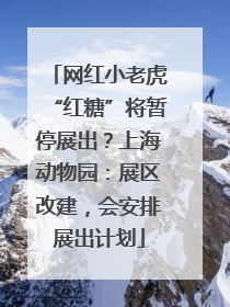 网红小老虎“红糖”将暂停展出？上海动物园：展区改建，会安排展出计划