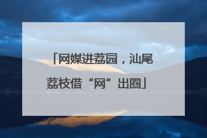 网媒进荔园，汕尾荔枝借“网”出圈
