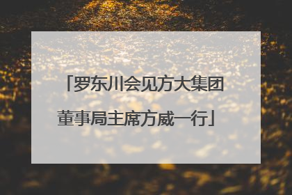 罗东川会见方大集团董事局主席方威一行