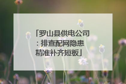 罗山县供电公司：排查配网隐患 精准补齐短板