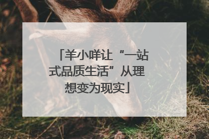 羊小咩让“一站式品质生活”从理想变为现实