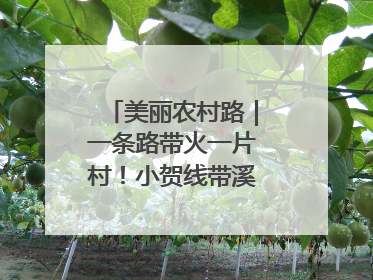 美丽农村路｜一条路带火一片村！小贺线带溪望谷成团出道
