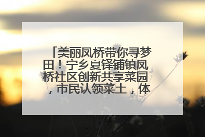 美丽凤桥带你寻梦田！宁乡夏铎铺镇凤桥社区创新共享菜园，市民认领菜土，体验耕种收获乐趣