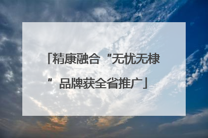 精康融合“无忧无棣”品牌获全省推广