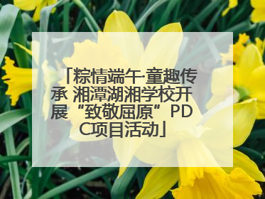 粽情端午·童趣传承 湘潭湖湘学校开展“致敬屈原”PDC项目活动