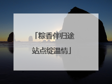 粽香伴归途 站点绽温情