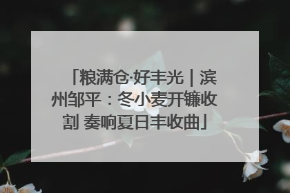 粮满仓·好丰光｜滨州邹平：冬小麦开镰收割 奏响夏日丰收曲