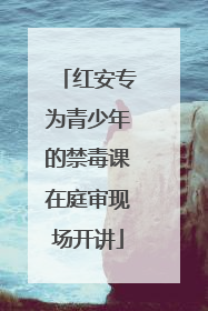 红安专为青少年的禁毒课在庭审现场开讲
