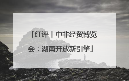 红评丨中非经贸博览会：湖南开放新引擎