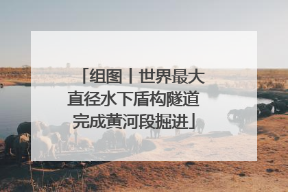 组图丨世界最大直径水下盾构隧道完成黄河段掘进
