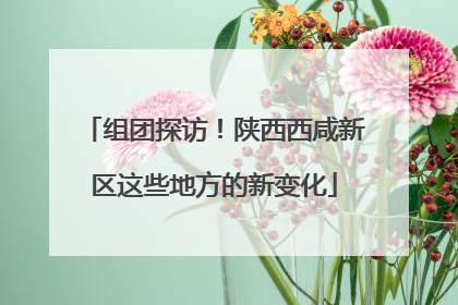 组团探访！陕西西咸新区这些地方的新变化