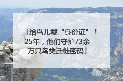 给鸟儿戴“身份证”！25年，他们守护73余万只鸟类迁徙密码