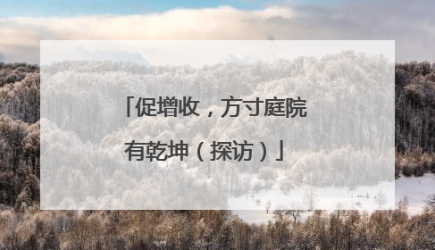 促增收，方寸庭院有乾坤（探访）