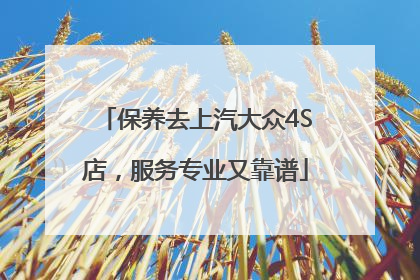 保养去上汽大众4S店，服务专业又靠谱