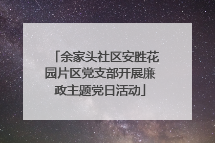 余家头社区安胜花园片区党支部开展廉政主题党日活动