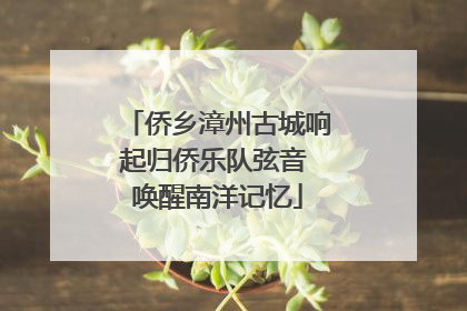 侨乡漳州古城响起归侨乐队弦音 唤醒南洋记忆