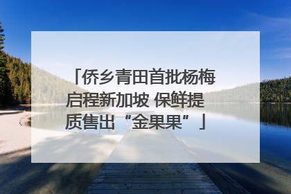 侨乡青田首批杨梅启程新加坡 保鲜提质售出“金果果”
