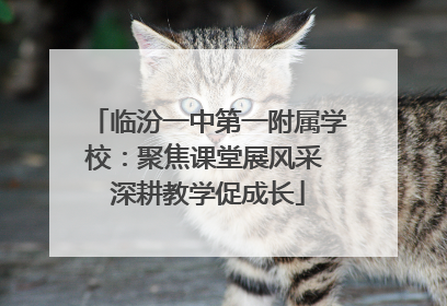 临汾一中第一附属学校：聚焦课堂展风采 深耕教学促成长