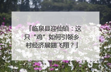 临泉县迎仙镇：这只“鸡”如何引领乡村经济展翅飞翔？