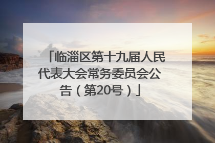 临淄区第十九届人民代表大会常务委员会公告（第20号）