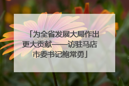 为全省发展大局作出更大贡献——访驻马店市委书记鲍常勇