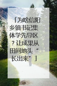 为啥信阳乡镇书记集体学先导区？让成果从田间地头“长出来”