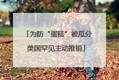 为防“蛋糕”被瓜分 美国罕见主动推销