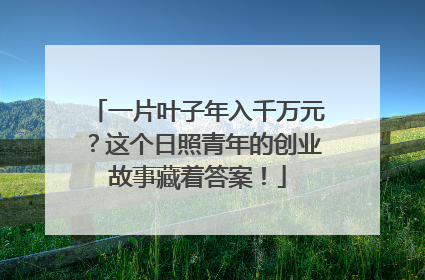 一片叶子年入千万元？这个日照青年的创业故事藏着答案！