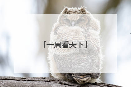 一周看天下