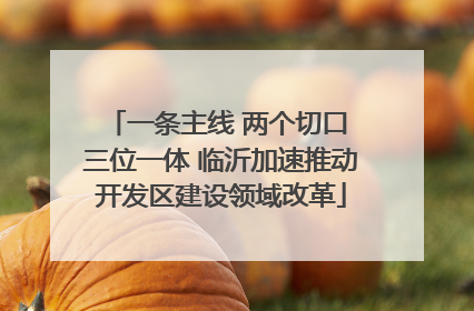 一条主线 两个切口 三位一体 临沂加速推动开发区建设领域改革